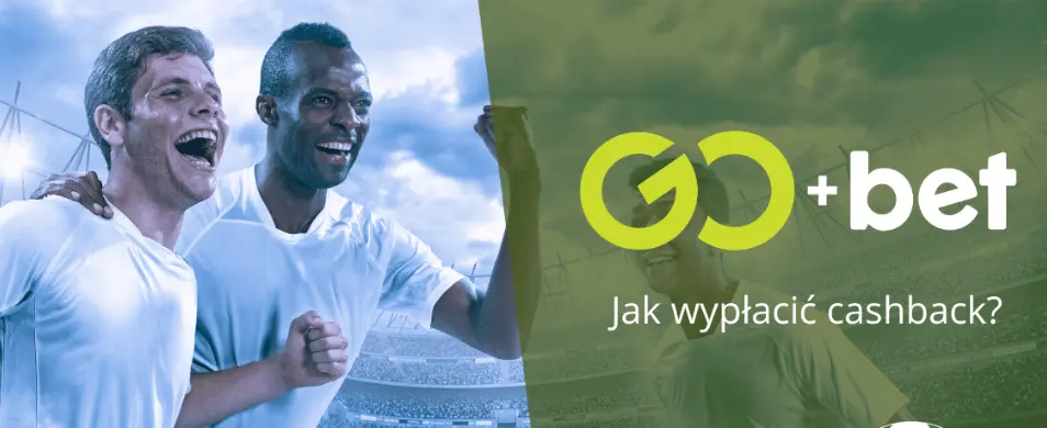 Studia i dostawcy GOBET